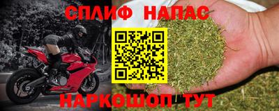 тгк Обь
