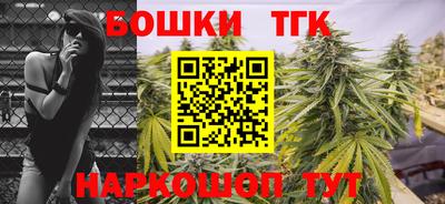тгк Обь