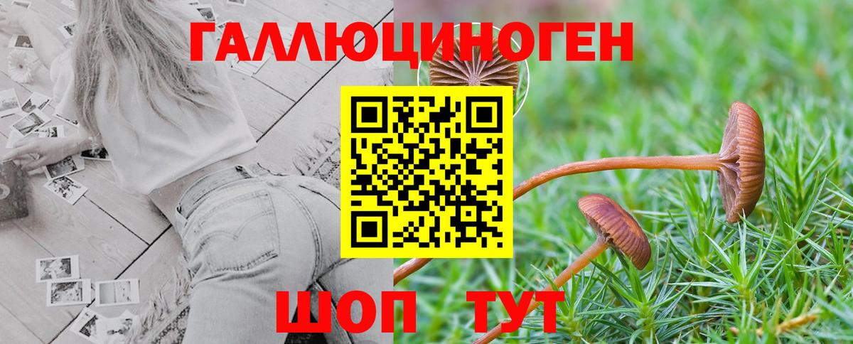 Псилоцибиновые грибы Psilocybe  Вход с VPN  Родники  как найти наркотики  Галлюциногенные грибы мухоморы 